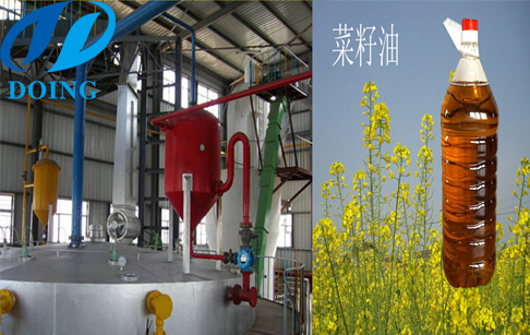 油脂浸出法和壓榨有何區(qū)別？