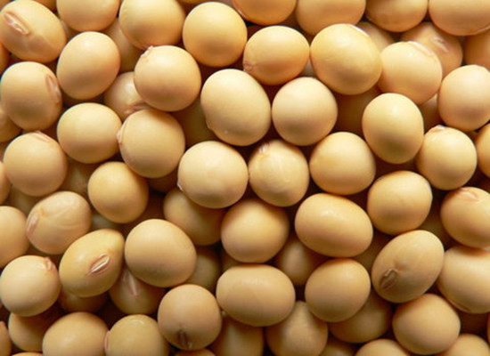全國大豆產(chǎn)區(qū)分布情況