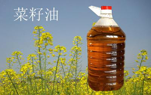 菜籽油市場行情