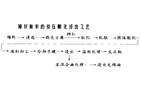 棉籽膨化浸出工藝