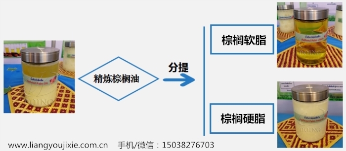 棕櫚油分提