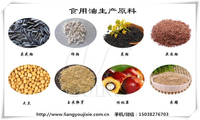 食用油生產(chǎn)原料