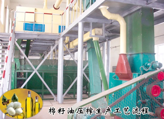 棉籽油壓榨生產(chǎn)工藝流程是什么？需要哪些棉籽油加工設備？