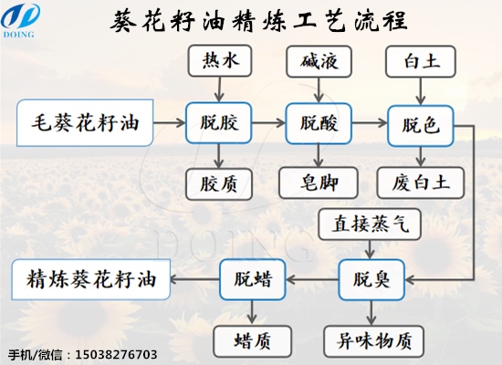 怎么精煉葵花籽油？葵花籽油精煉工藝流程是什么？