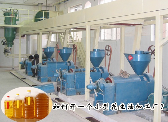 如何開(kāi)一個(gè)小型花生油加工廠？需要注意哪些事項(xiàng)？