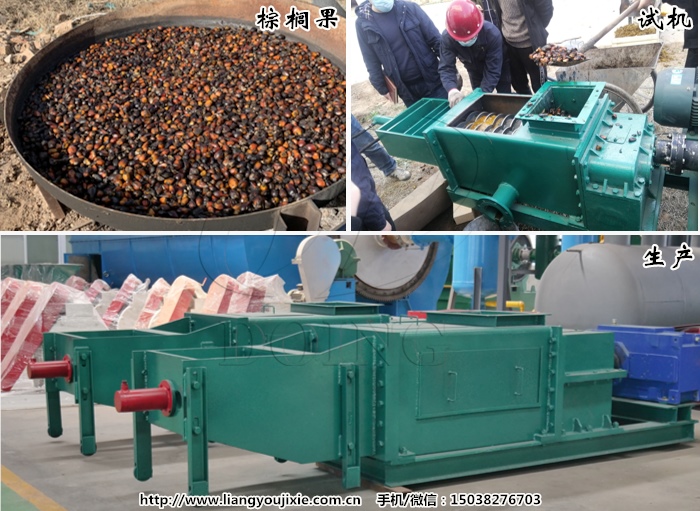 棕櫚油榨油機(jī)