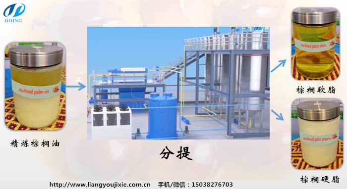 棕櫚油分提設(shè)備