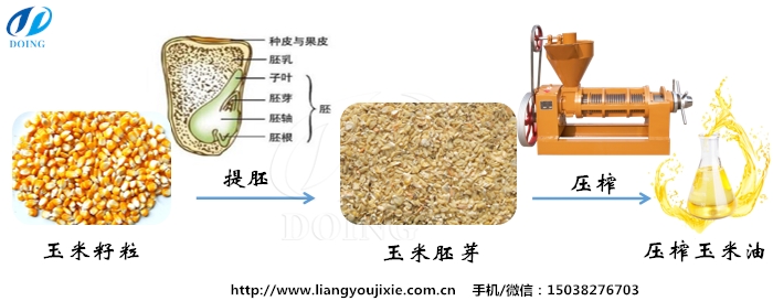 玉米油壓榨