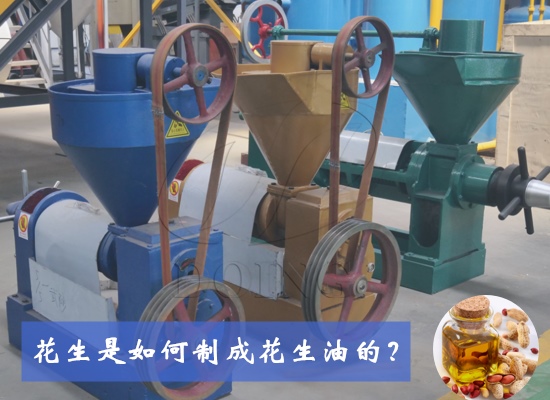 花生是如何制成花生油的？花生油生產(chǎn)制作工藝有幾種？