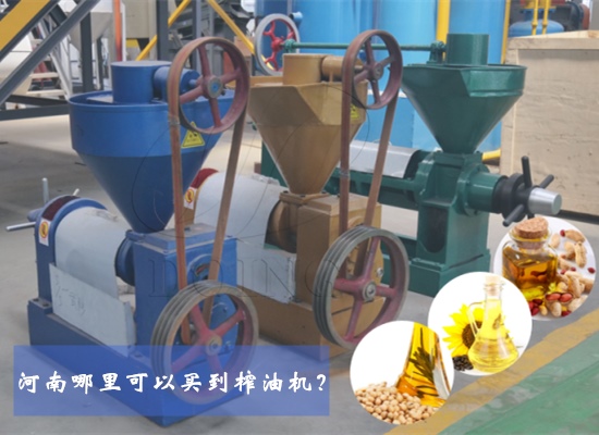 河南哪里可以買到榨油機？
