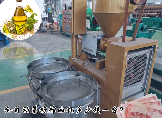 全自動菜籽榨油機多少錢一臺？