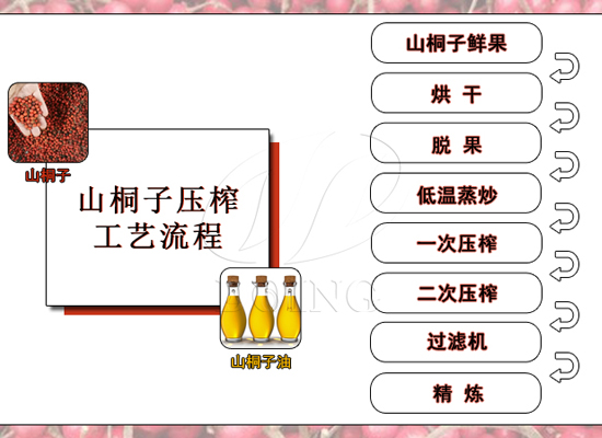 毛葉山桐子怎么榨油？需要注意什么？