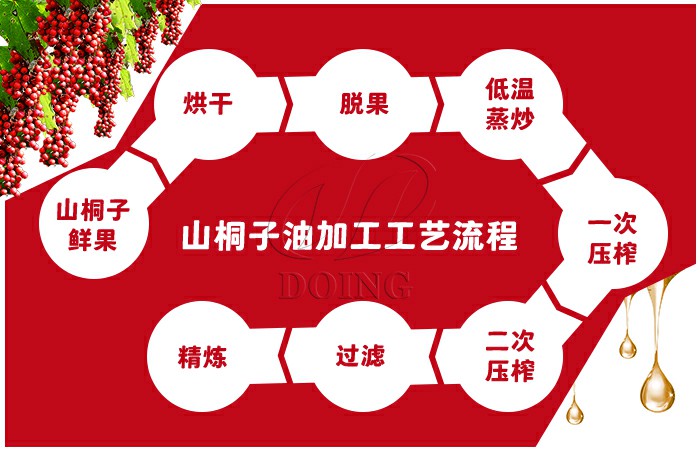 山桐子油加工工藝流程