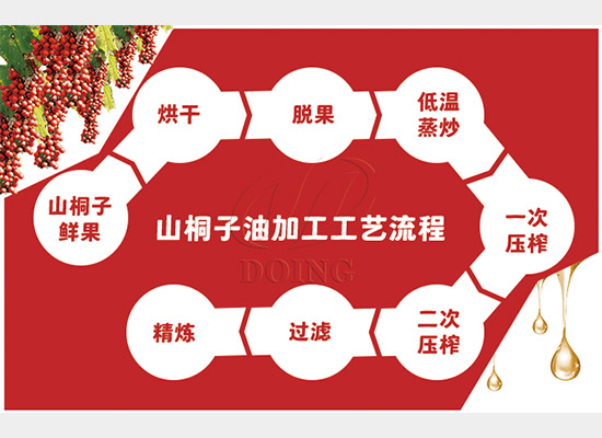 配置油脂設(shè)備壓榨山桐子油，利潤多多