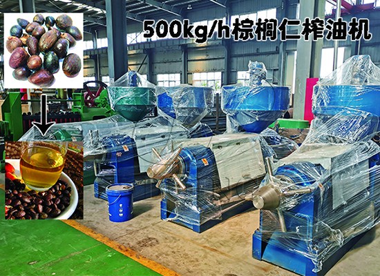 加納客戶500kg/h棕櫚仁榨油機順利投產(chǎn)！