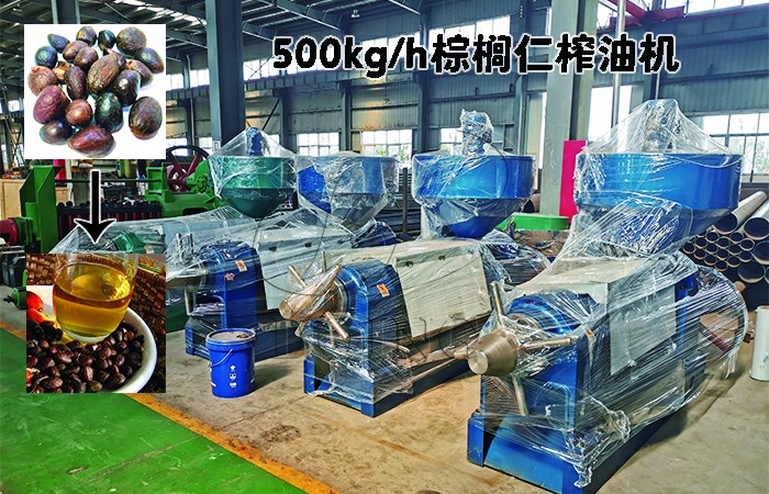棕櫚仁榨油機(jī)