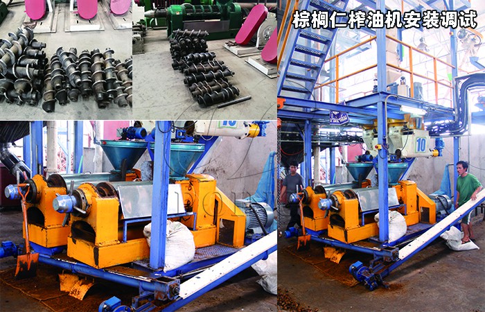 棕櫚仁榨油機(jī)