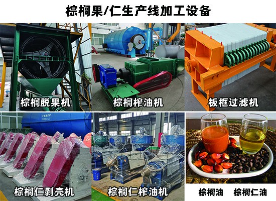 喜報(bào)：加納客戶2t/h棕櫚果+棕櫚仁榨油生產(chǎn)線已正式投產(chǎn)運(yùn)營！