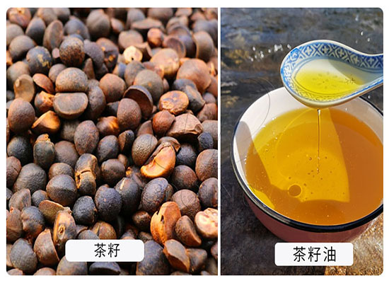 簽單篇：浙江客戶在國瑞油脂下單購買一臺自動溫控榨油機