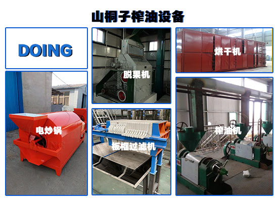 投資山桐子油加工廠需要多少錢？