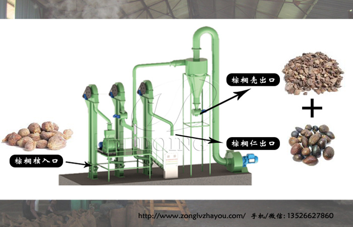 棕櫚仁壓榨設(shè)備