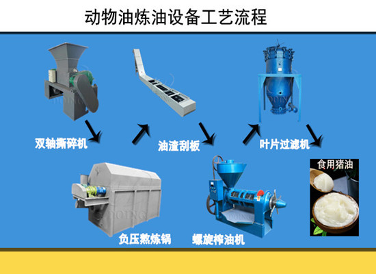動物油煉油設(shè)備的工藝流程你知道多少？