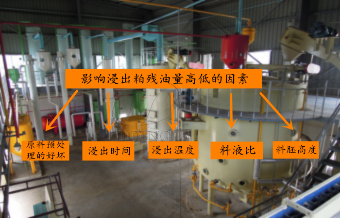 影響浸出粕殘油高低因素.jpg