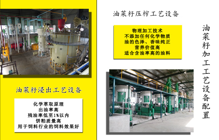 油菜籽加工設備