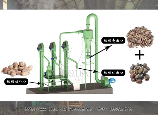 喜報！加拿大客戶從國瑞購買一套棕櫚仁殼分離設(shè)備