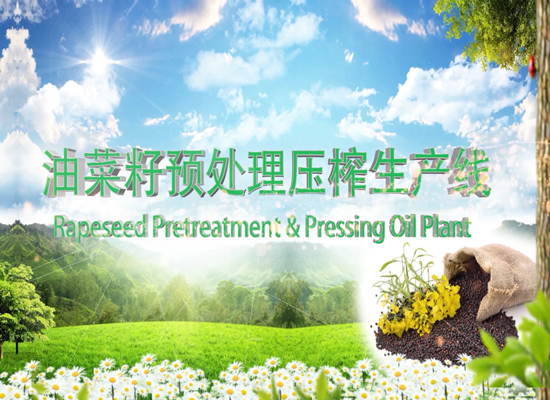 菜籽油預(yù)處理壓榨生產(chǎn)線(xiàn)運(yùn)行視頻