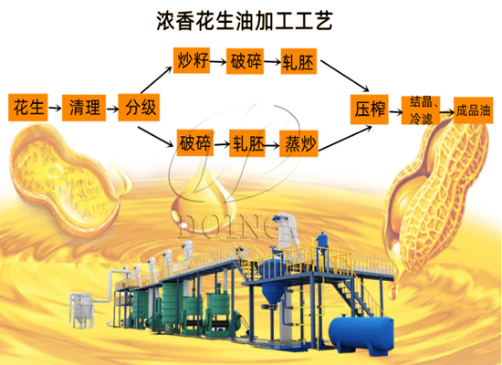 濃香花生油是什么意思？濃香型花生油加工工藝是怎樣的？