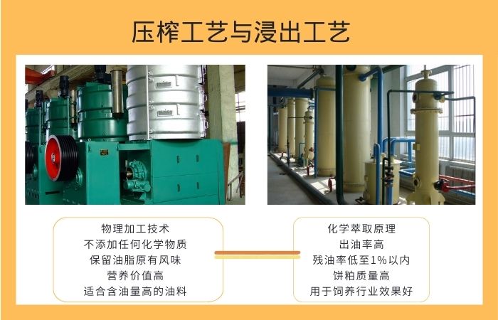 食用油壓榨與浸出工藝