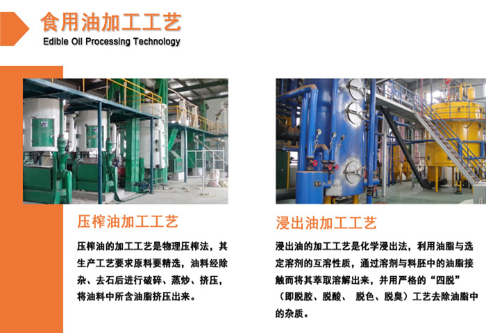 壓榨設(shè)備與浸出設(shè)備