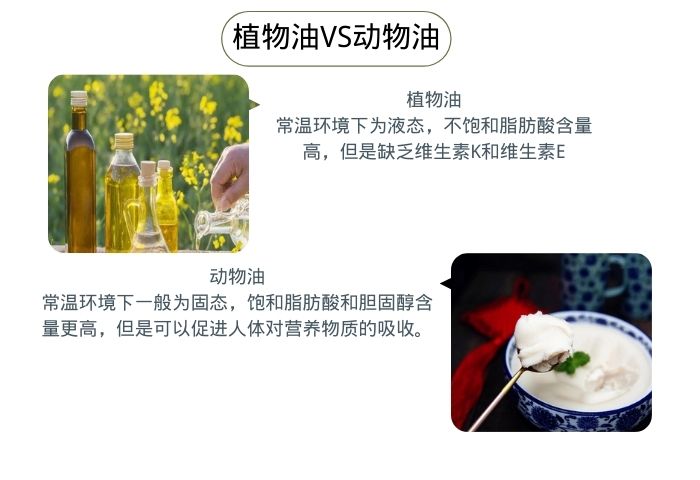 植物油VS動物油