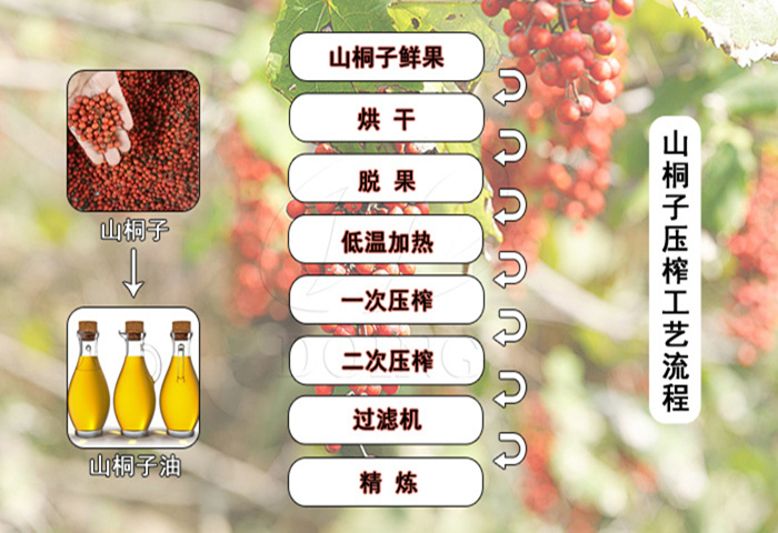 山桐子壓榨工藝流程
