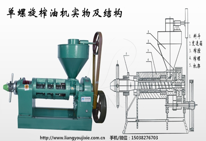 單螺旋榨油機