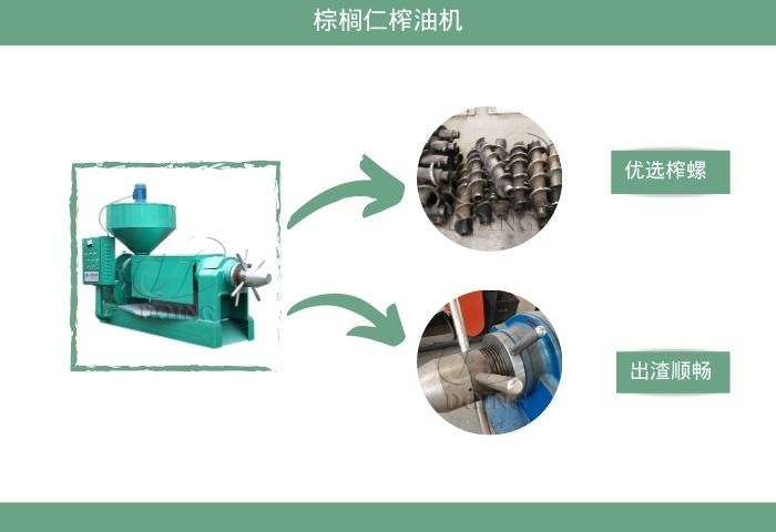 棕櫚仁榨油機(jī)