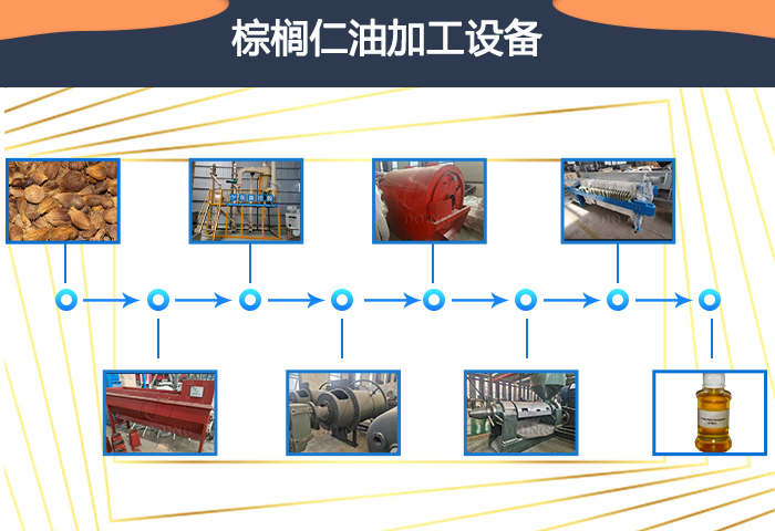 棕櫚仁油加工設(shè)備