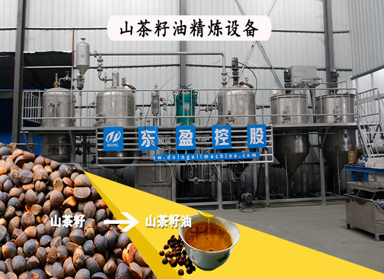 一套山茶籽油精煉設(shè)備需要多少錢？