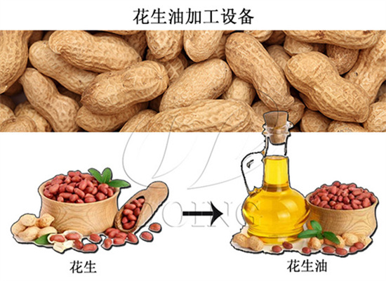 濃香型,清香型和冷榨型花生油的加工工藝和加工設備有什么不同?