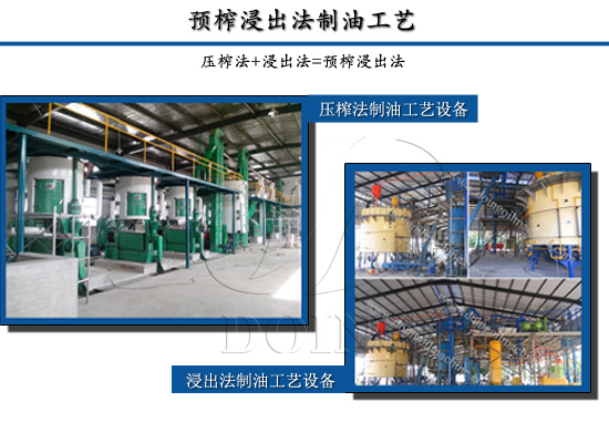 食用油怎么加工品質(zhì)更好?四個關鍵因素告訴你答案