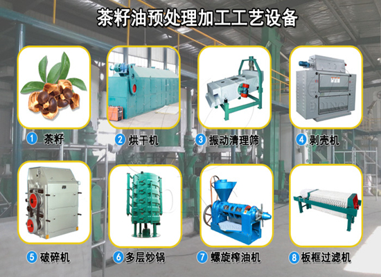 加工茶籽油,為什么需要對茶籽進行烘干處理?