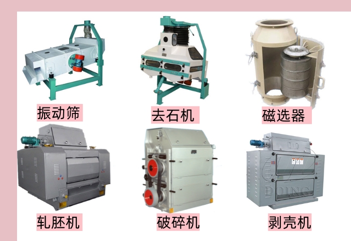 茶籽油清理和處理設備
