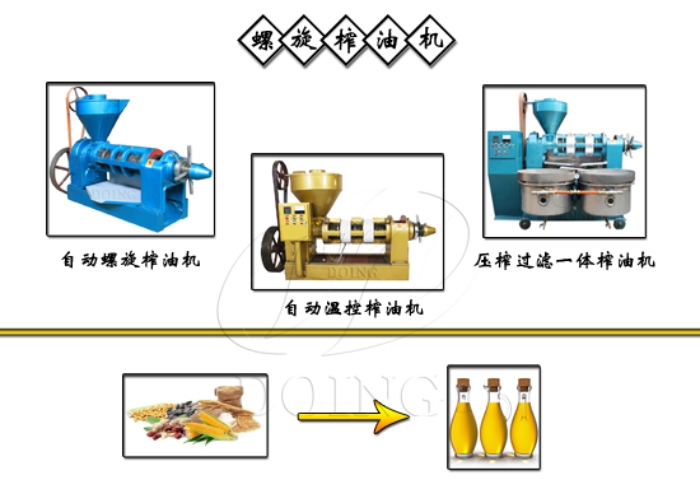 全自動小型螺旋榨油機(jī).jpg
