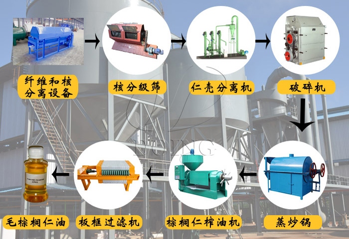 大型棕櫚仁油加工設備