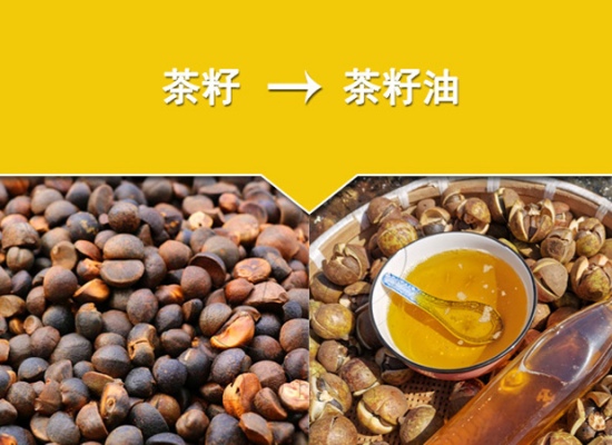 山茶籽油加工生產(chǎn)線的價格與哪些因素有關(guān)?