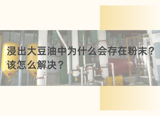 浸出大豆油中為什么會存在粉末？該怎么解決？