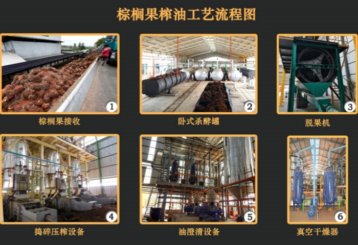 棕櫚油壓榨設(shè)備怎么選：從單臺(tái)設(shè)備到全自動(dòng)產(chǎn)線，一文讀懂6種常見棕櫚油壓榨生產(chǎn)線！