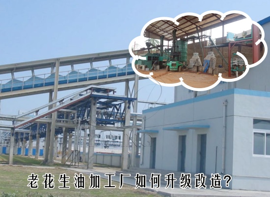 老花生油加工廠如何升級(jí)改造？