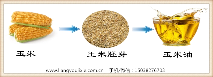 玉米油的生產(chǎn)流程